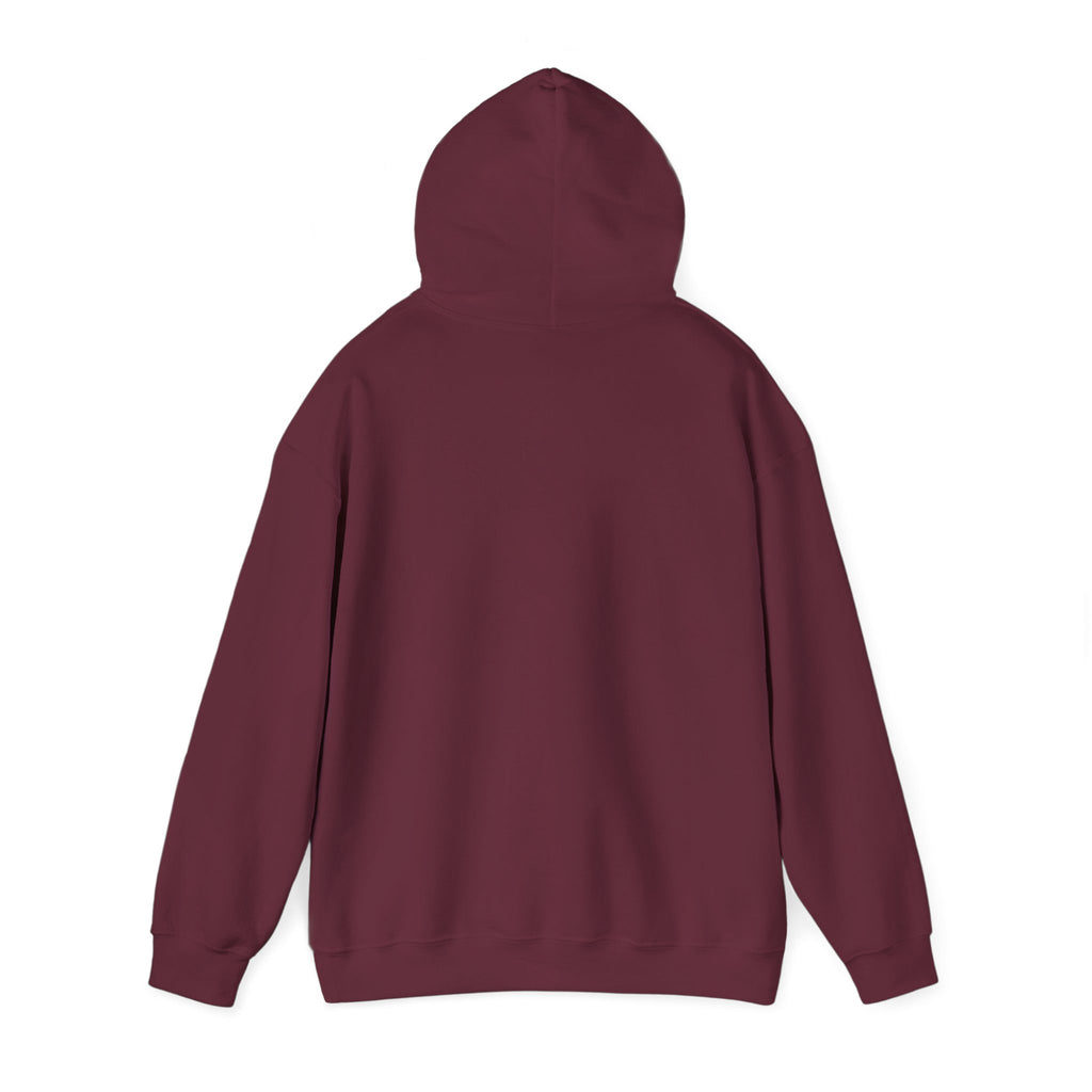 Civil Engineer Hoodie
