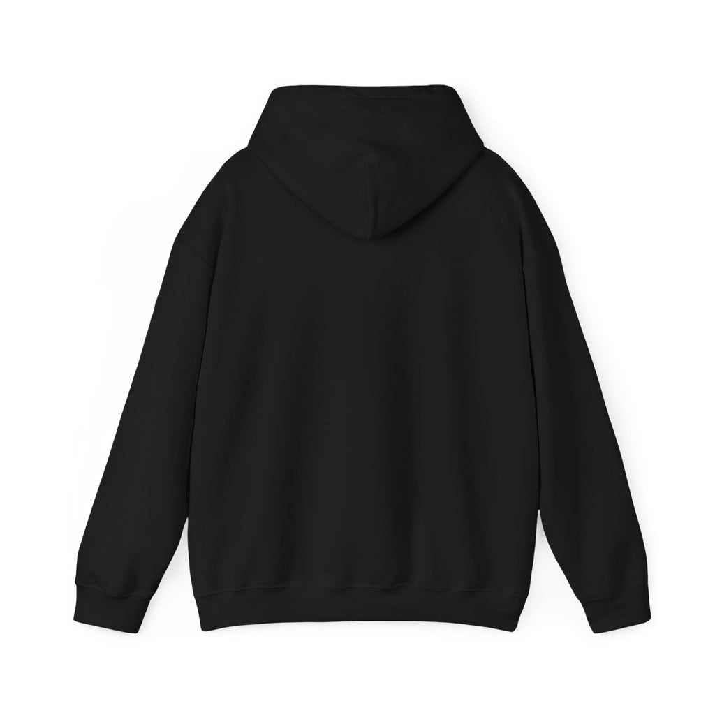 Aerospace Engineer Hoodie — Back, Black